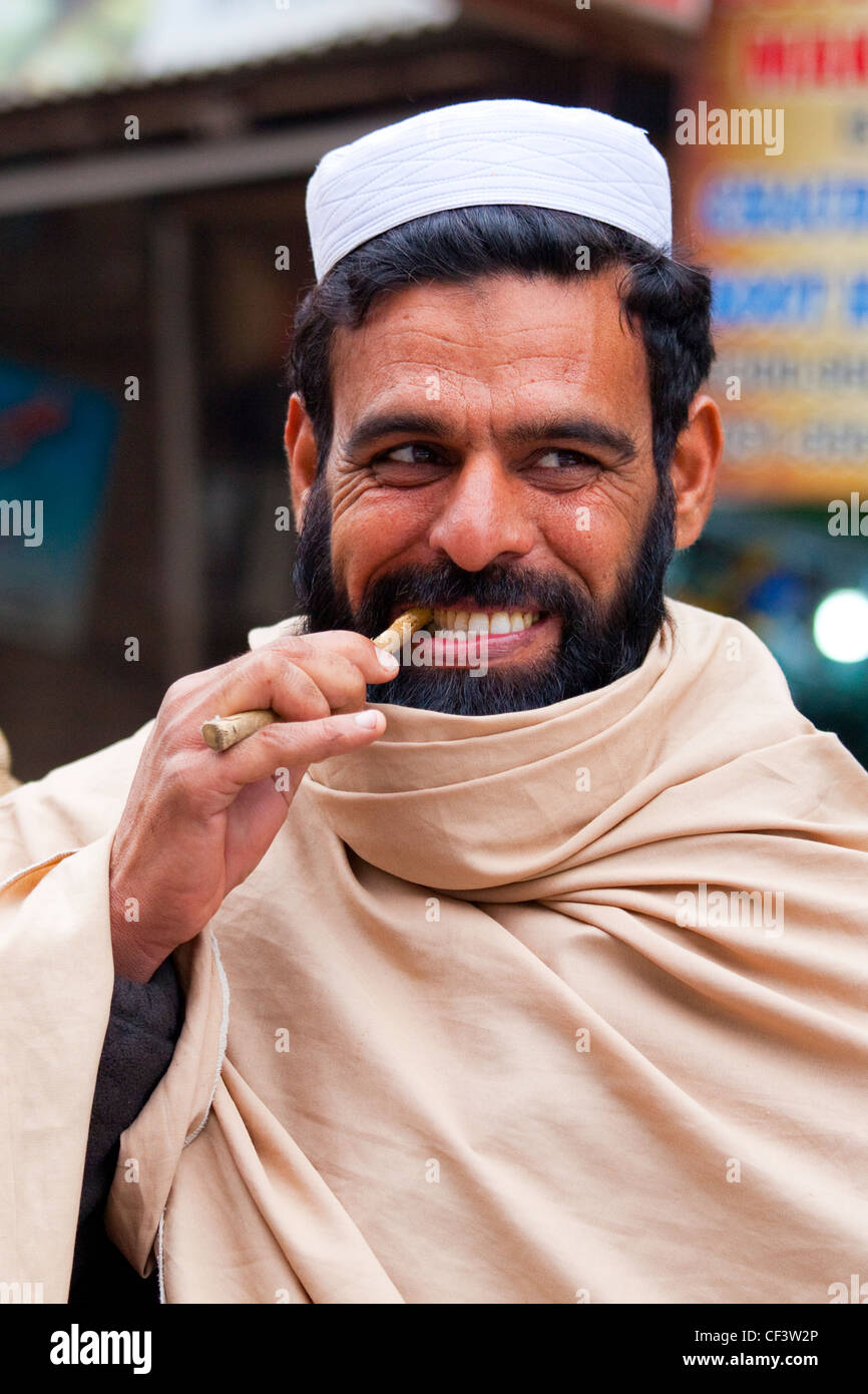 Chewing stick, wooden tooghbrush, Islamabad, Pakistan Stock Photo