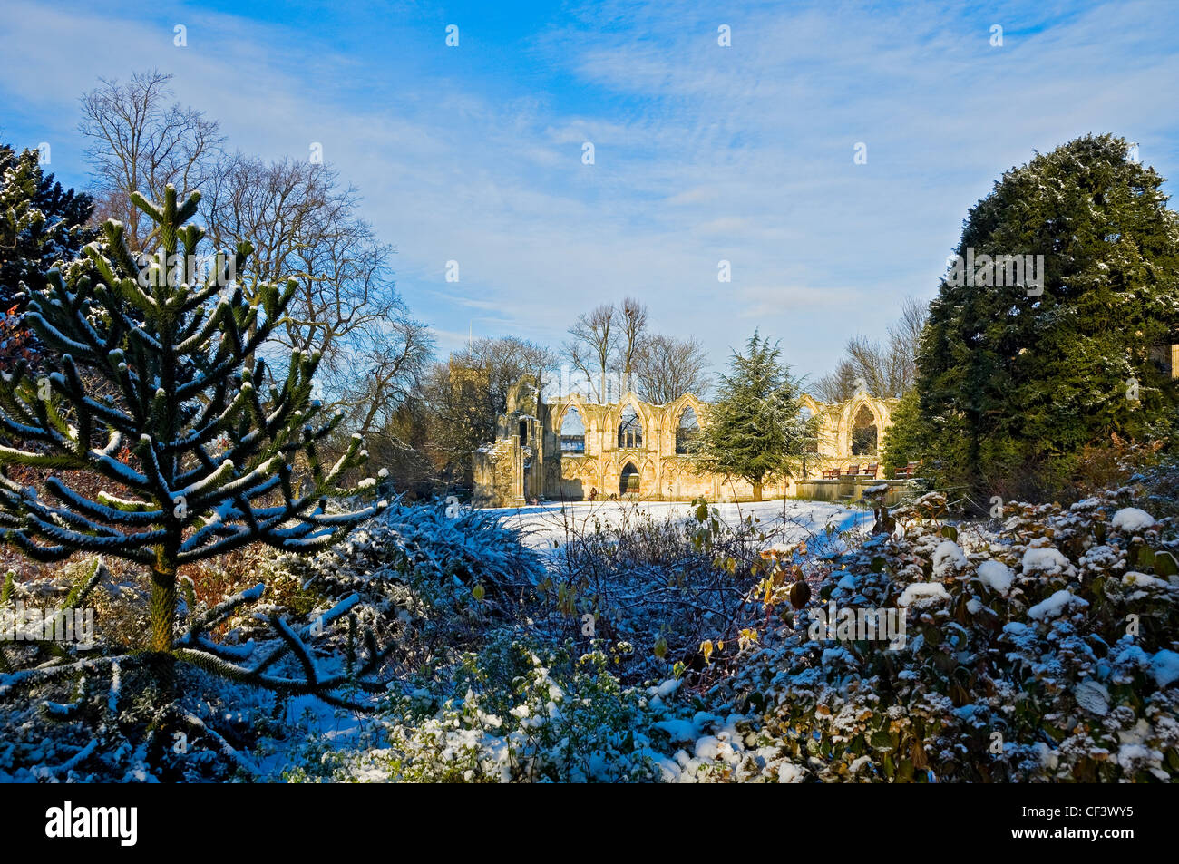 Ruins of St Mary's Abbey in Yorkshire Museum Gardens in winter. Stock Photo