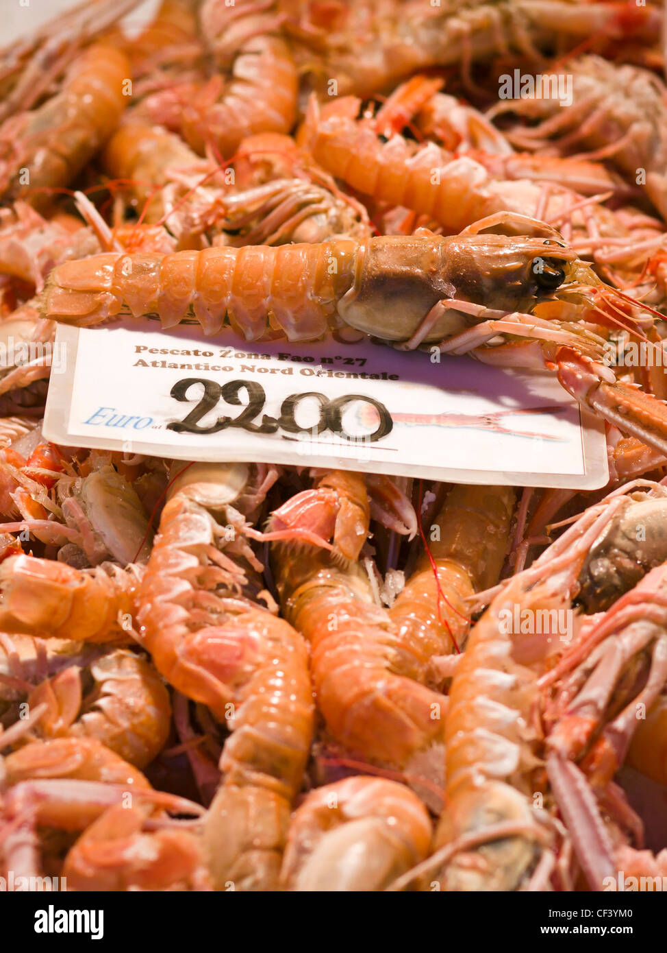 Crayfish for sale at the Rialto fish market - Venice, Venezia, Italy, Europe Stock Photo