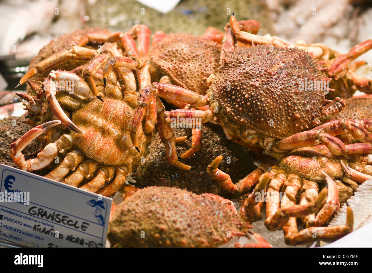Spider crab for sale at the Rialto fish market - Venice, Venezia, Italy, Europe Stock Photo