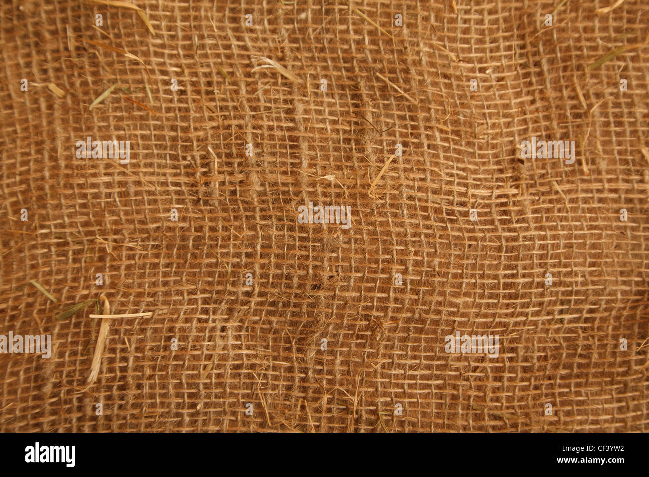 Texture high resolution of brown color of coarse cloth. Close up. Horizontal format. Stock Photo
