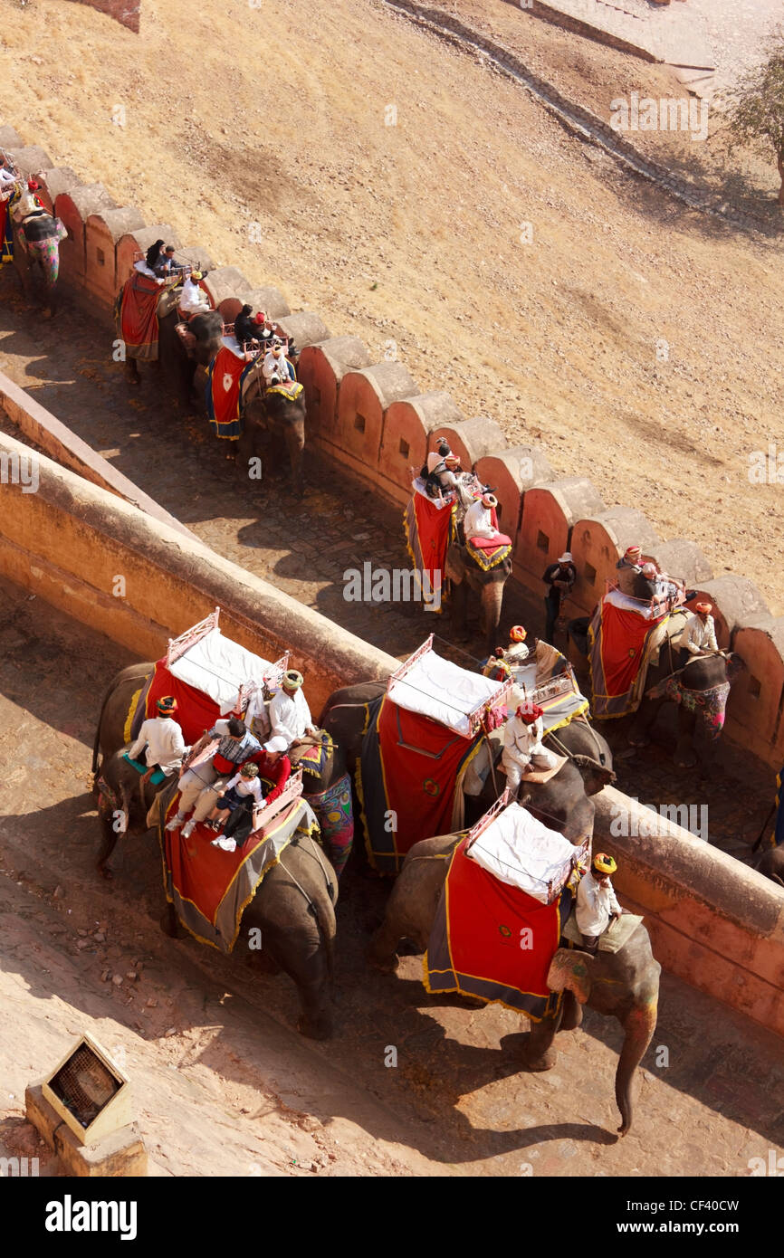 Elephants ride up and down carrying the tourists at Amber Fort in Jaipur, India. Stock Photo