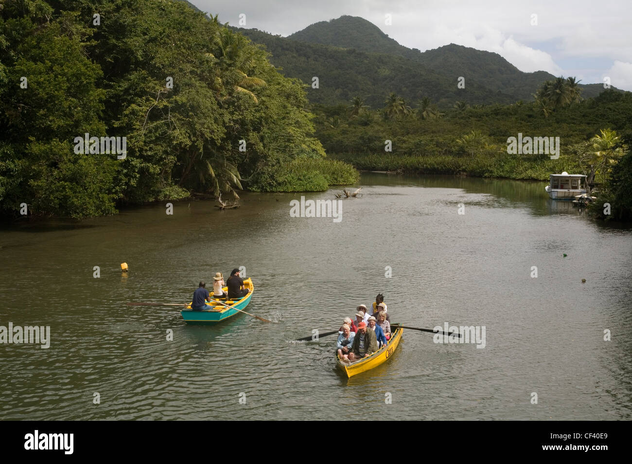 Caribbean Dominica Portsmouth, Indian river boat trips Stock Photo