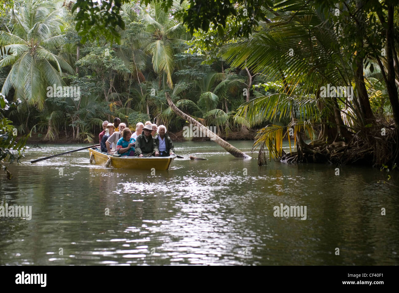 Caribbean Dominica Portsmouth Indian river Stock Photo