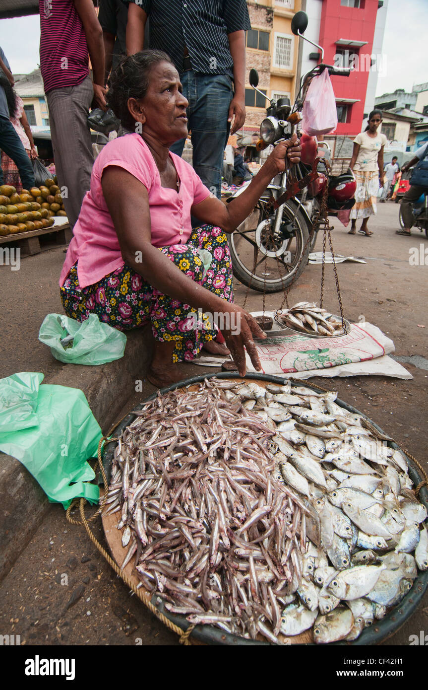 fish for sale in the Pettah market in Colombo, Sri Lanka Stock Photo