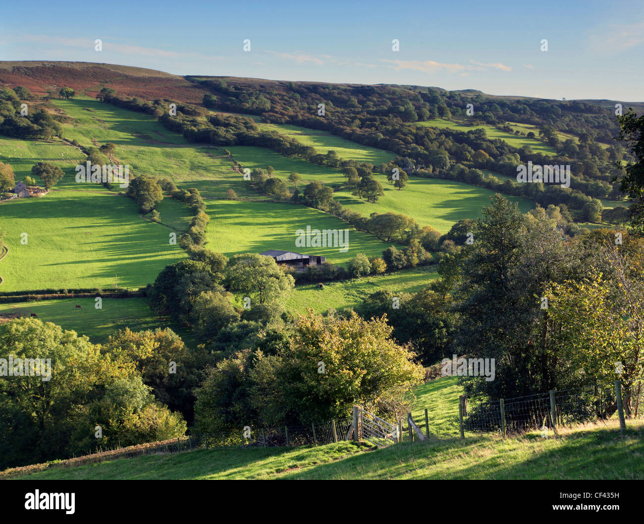 A hint of autumn is apparent in this view across the rolling hills of the Brecon Beacons. Stock Photo