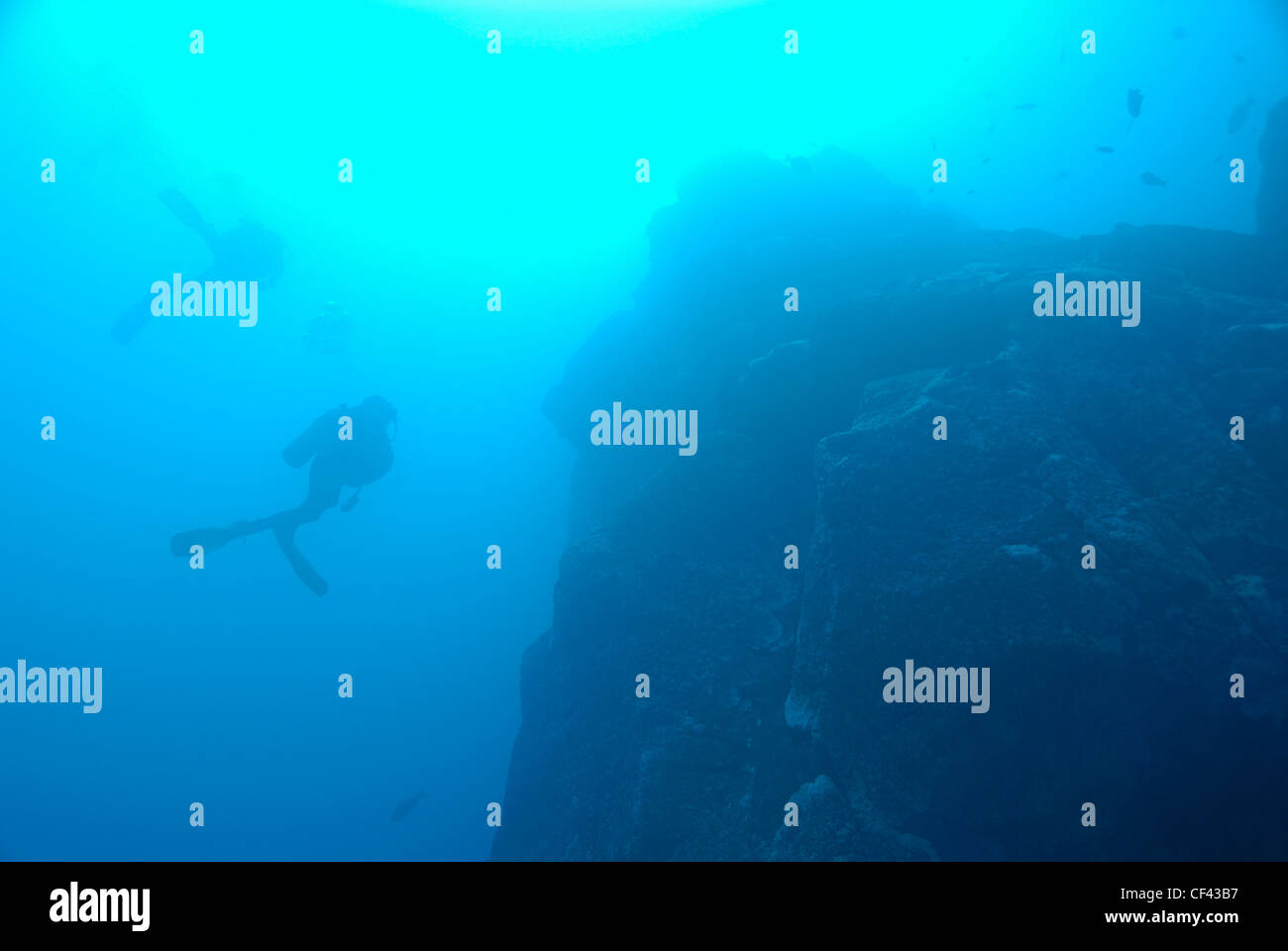 Scuba diver by rocks, Galapagos Islands, Ecuador Stock Photo Alamy