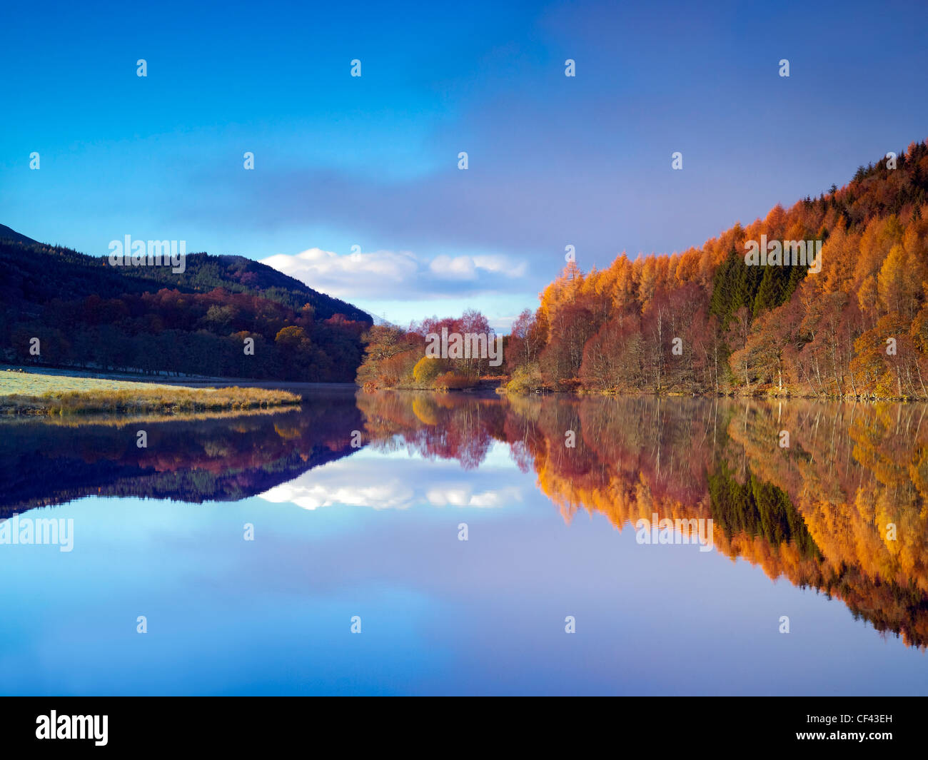 Trees and surrounding hillside reflected in the still waters of Loch Tummel on a winter morning. Stock Photo