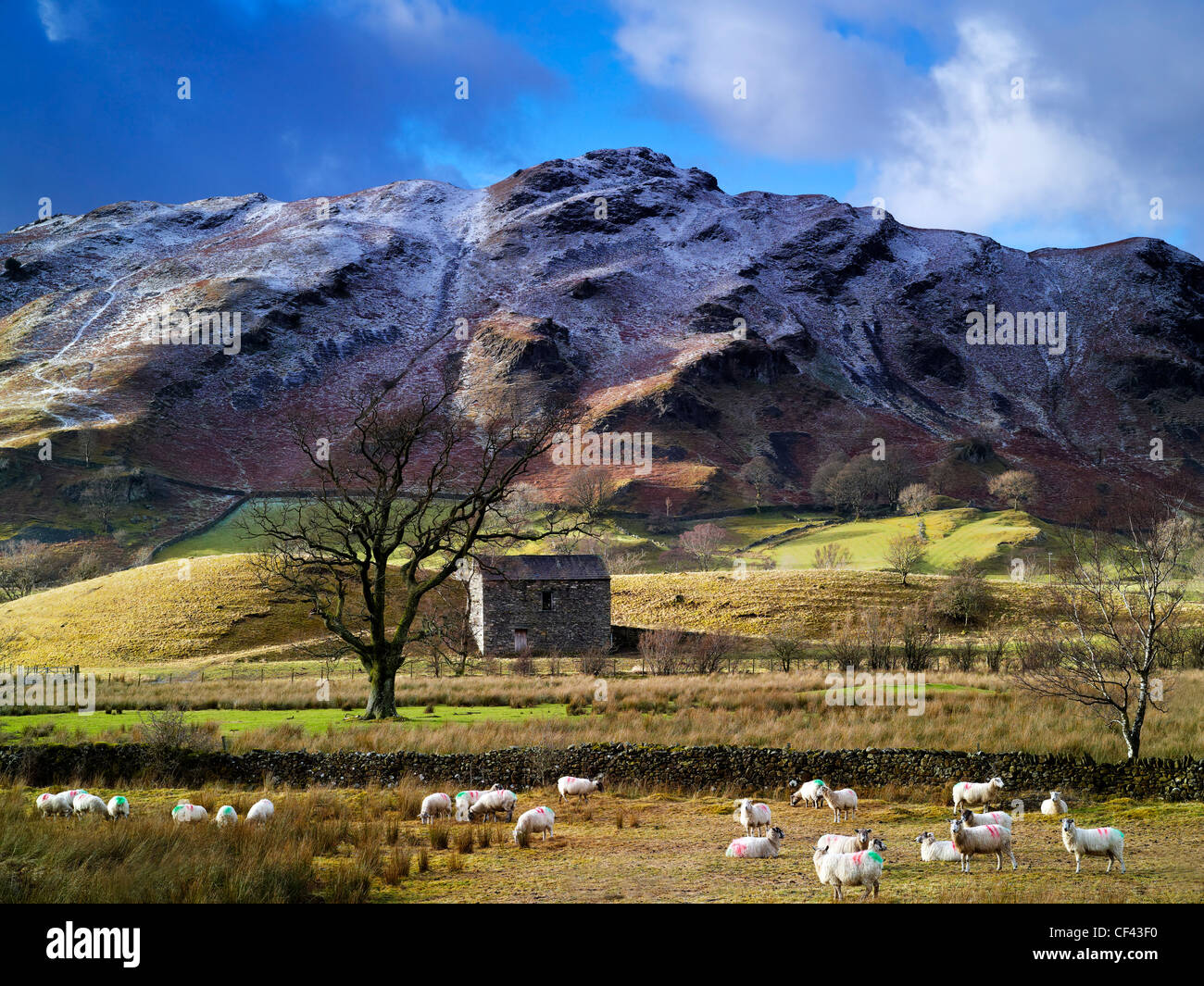 A remote barn nestling in the heart of St John's in the Vale in the Lake District. Stock Photo