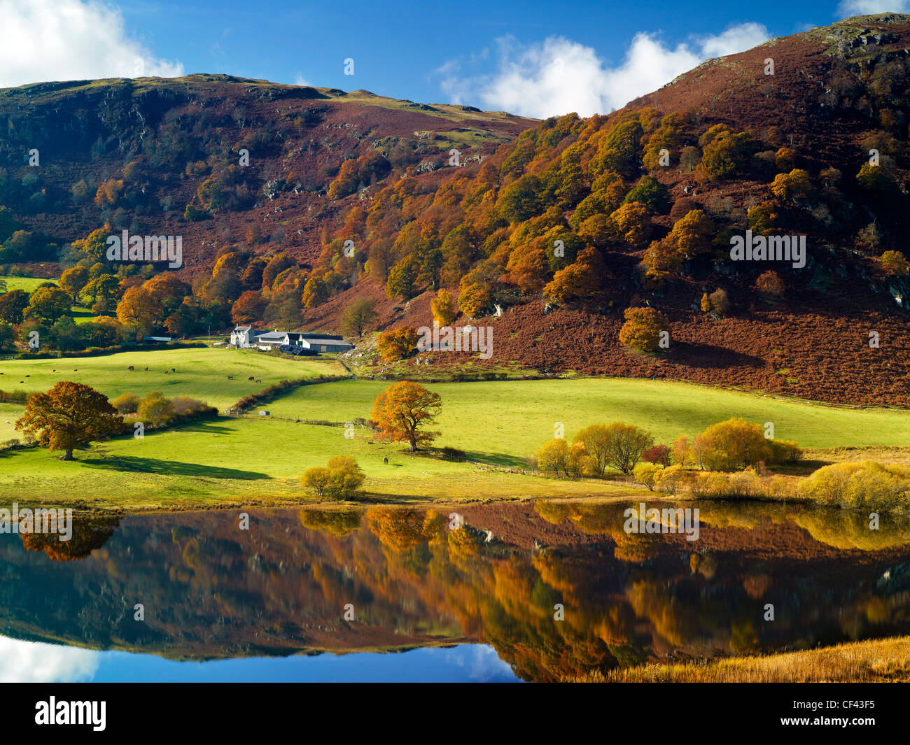 Autumnal colours on display in the Elan Valley. Stock Photo