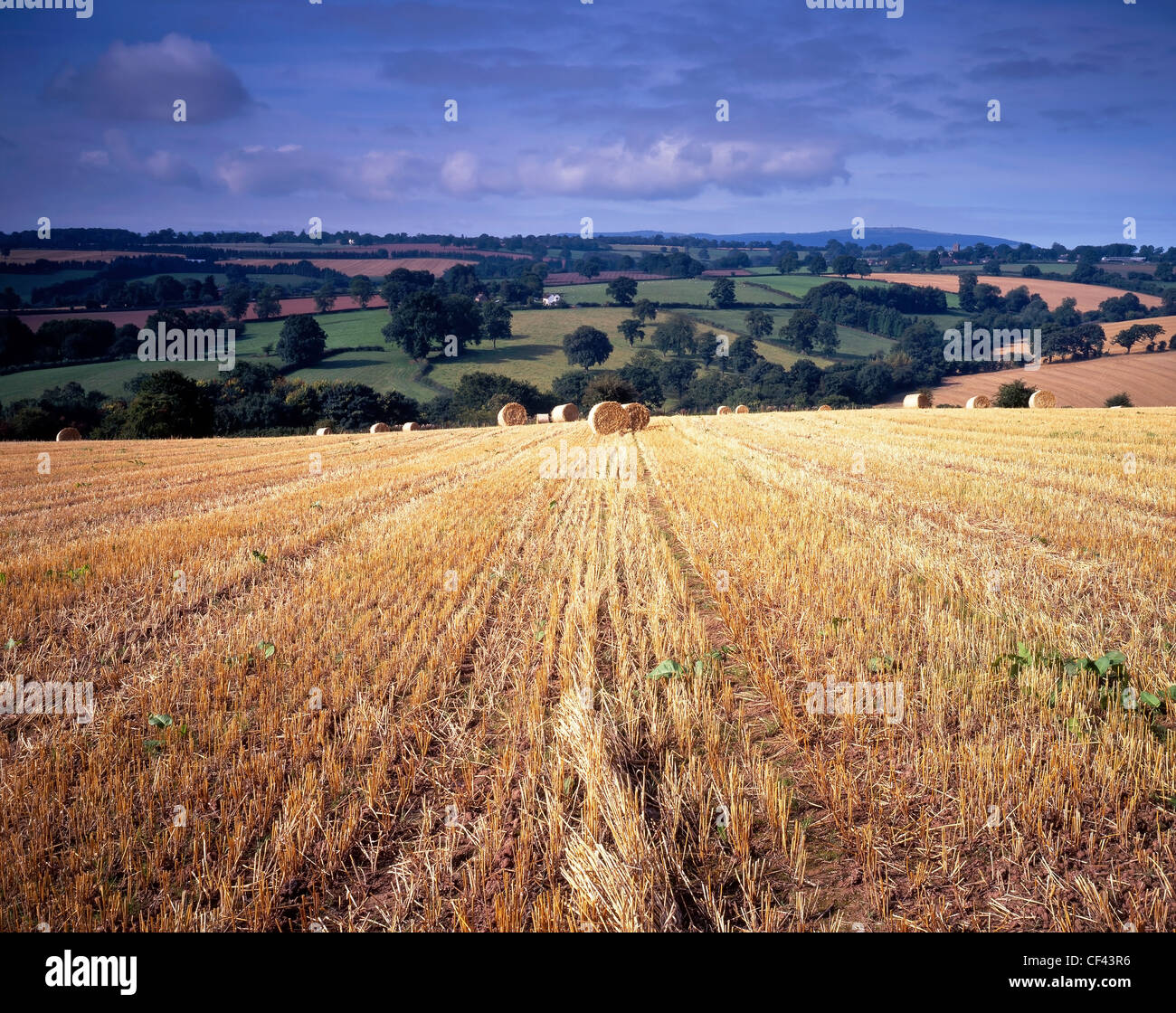Looking across a harvested hay field in Shropshire towards rolling hills. Stock Photo