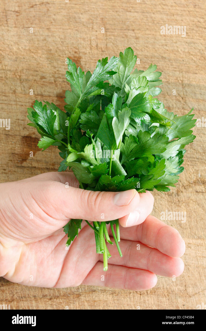 Parsley on a wooden surface Stock Photo