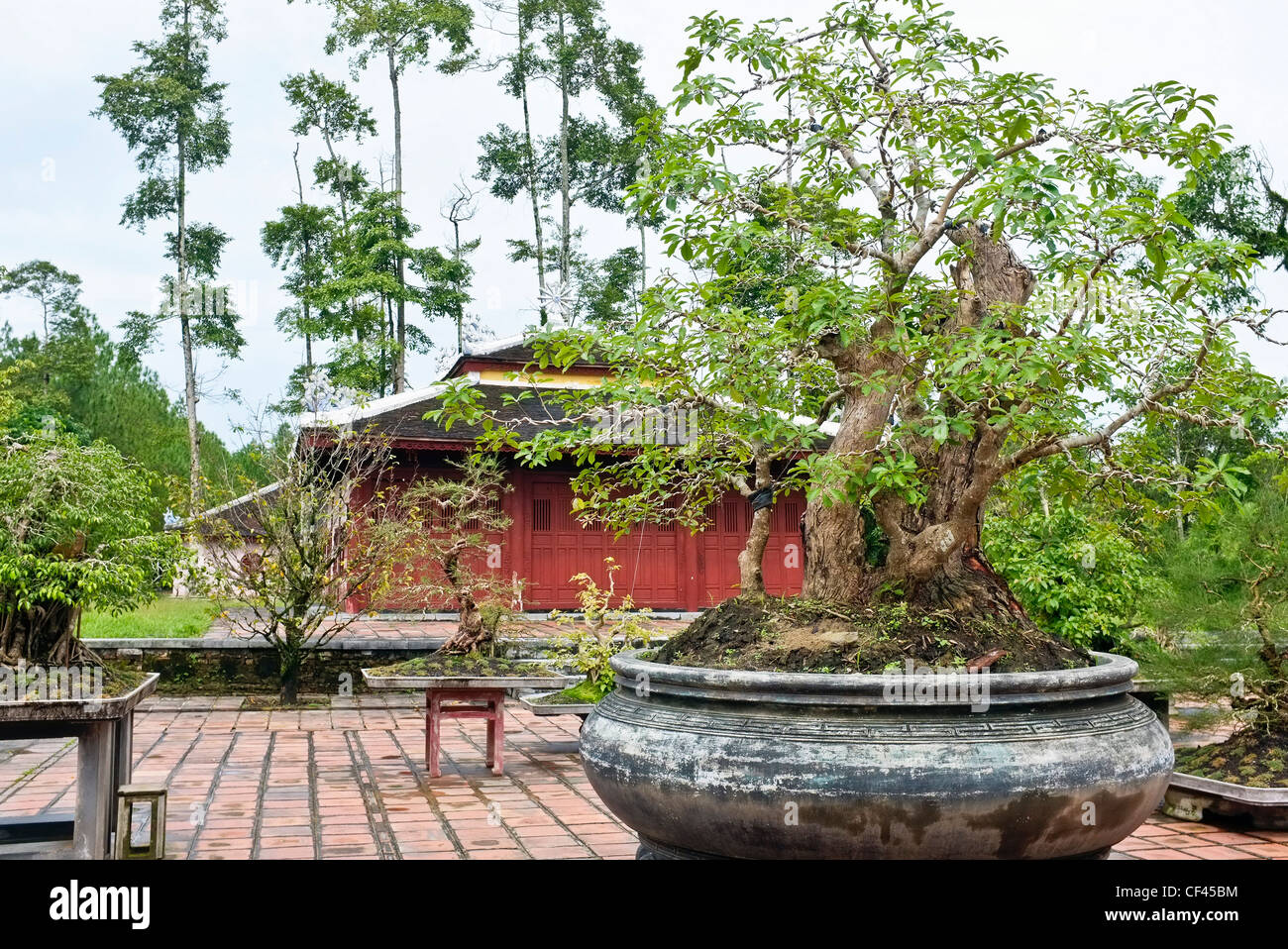 Bonsai garden and pavilion, Thien Mu pagoda, Hué, Vietnam Stock Photo