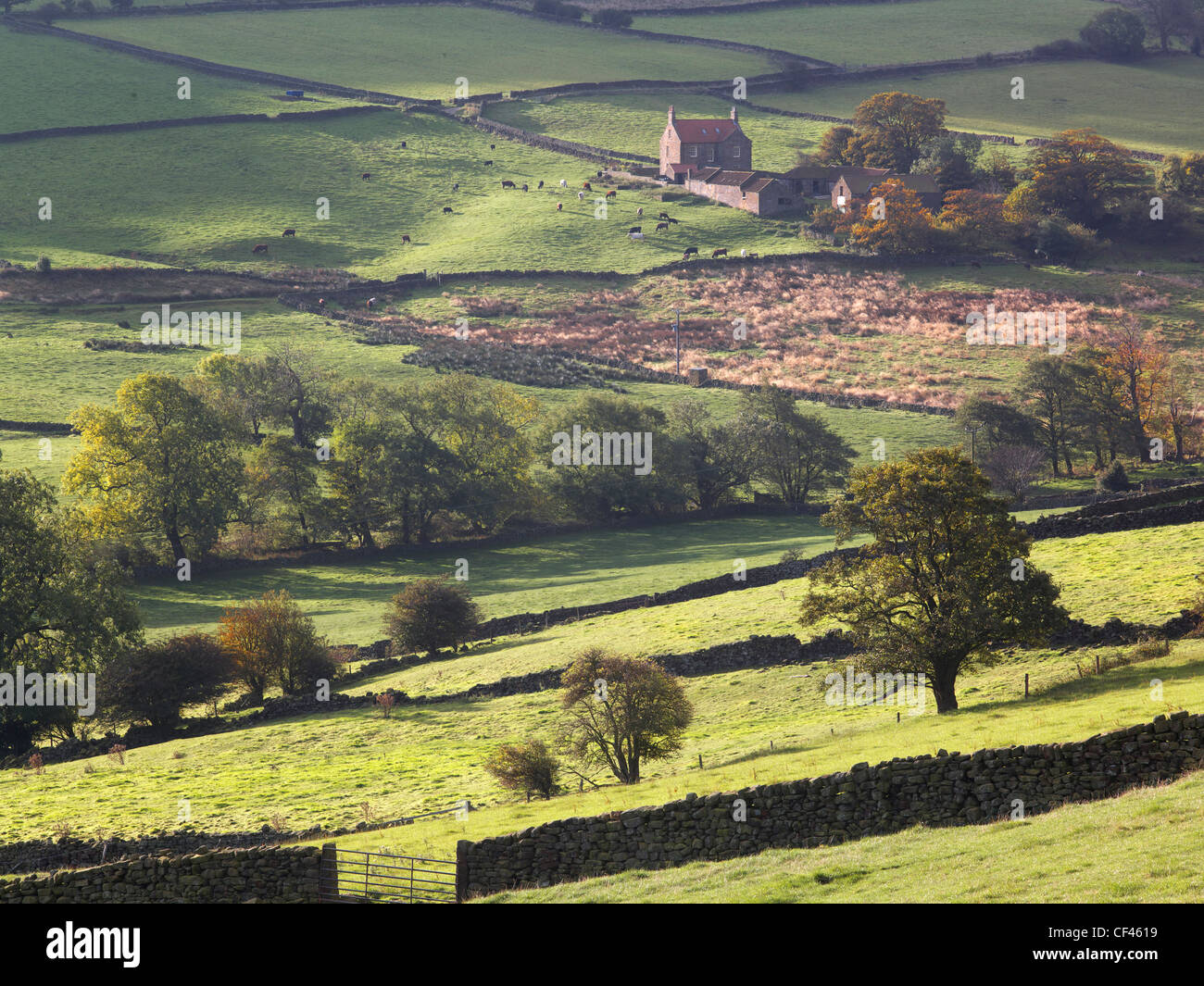 View over the Esk Valley in North Yorkshire. Stock Photo