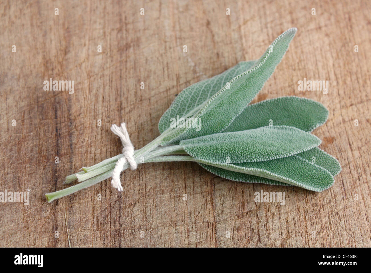 Sage on a wooden background Stock Photo