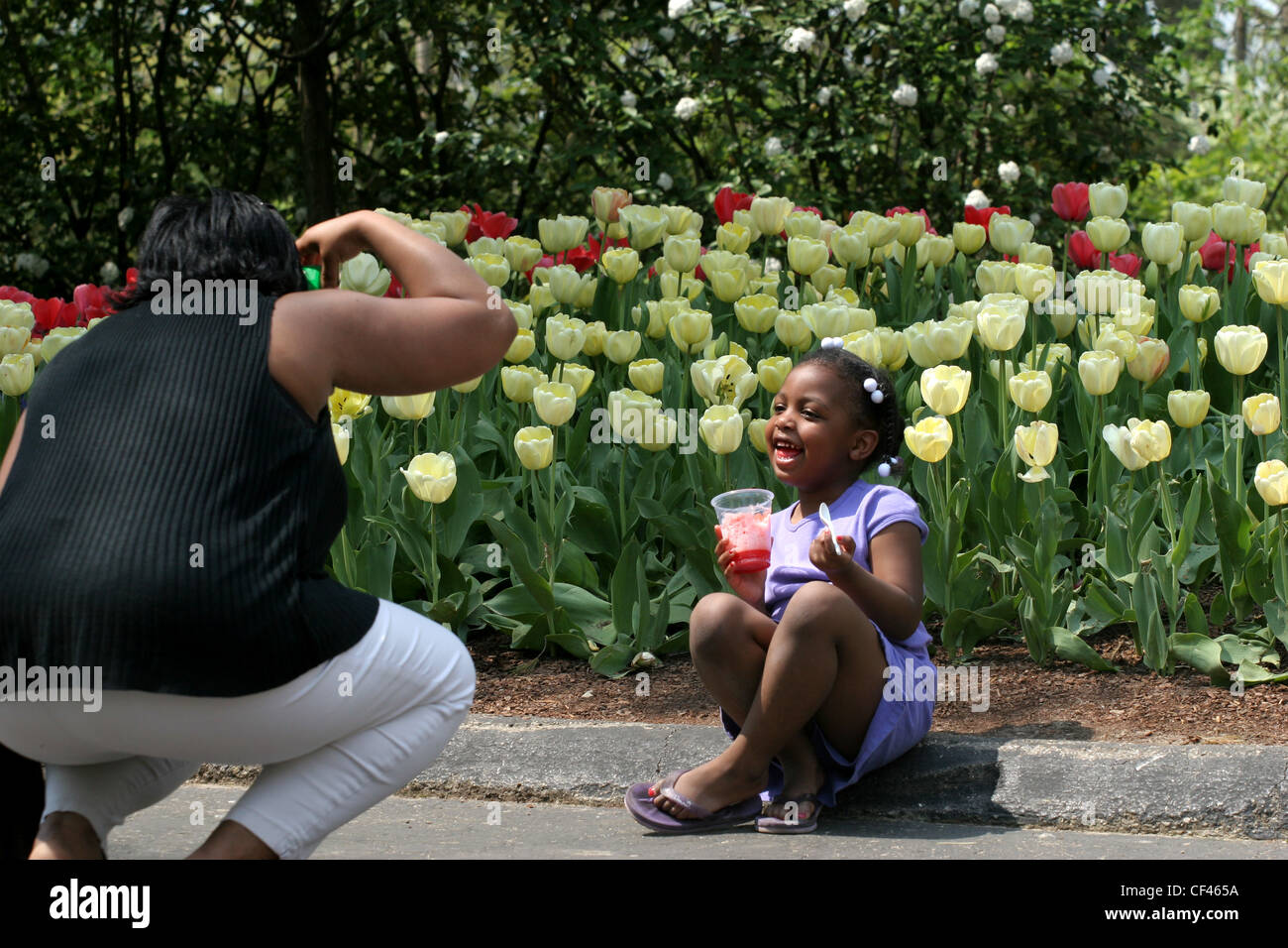 visitors tulips flower show Cincinnati Zoo ohio Stock Photo Alamy
