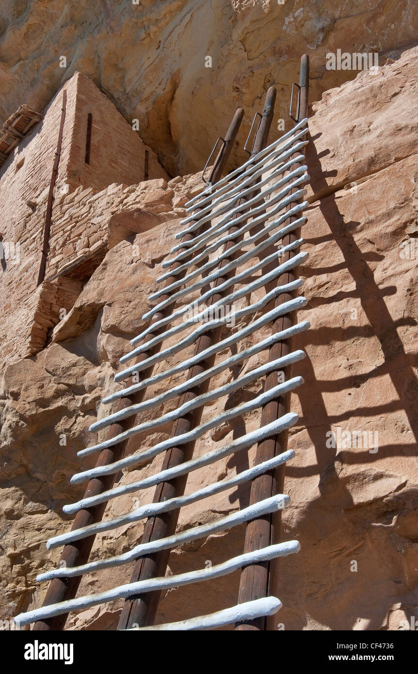 Ladder at Balcony House cliff dwelling in alcove at Chaplin Mesa, Cliff Palace Loop, Mesa Verde National Park, Colorado, USA Stock Photo