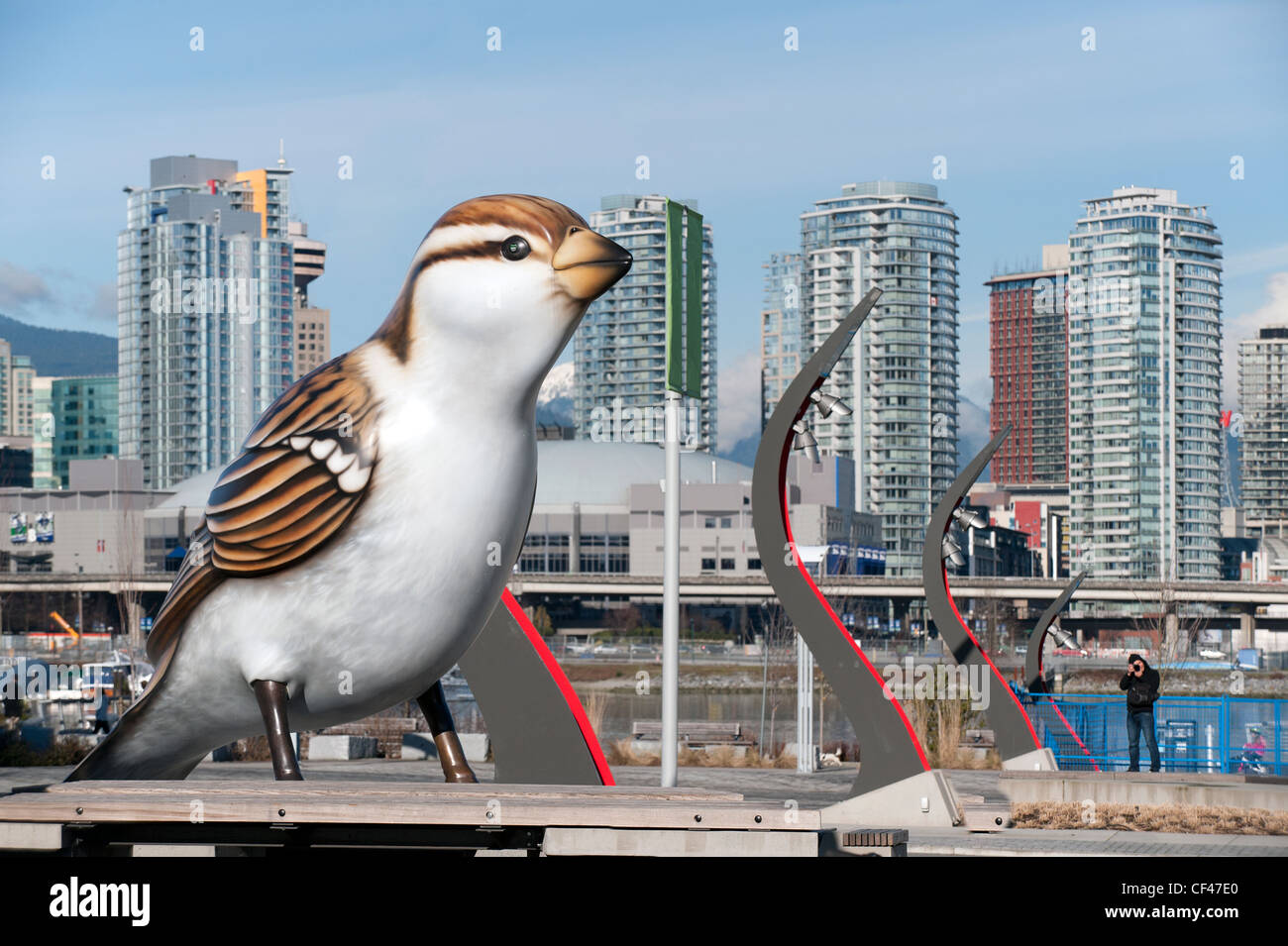Big bird in the city Stock Photo