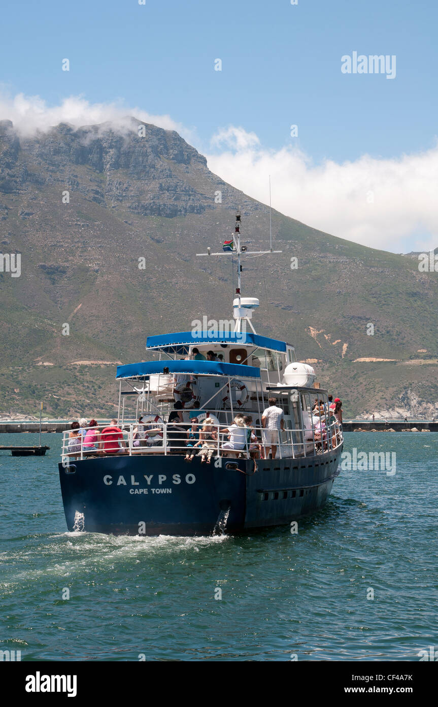 Boat trip departing the harbour at Hout Bay Western Cape South Africa