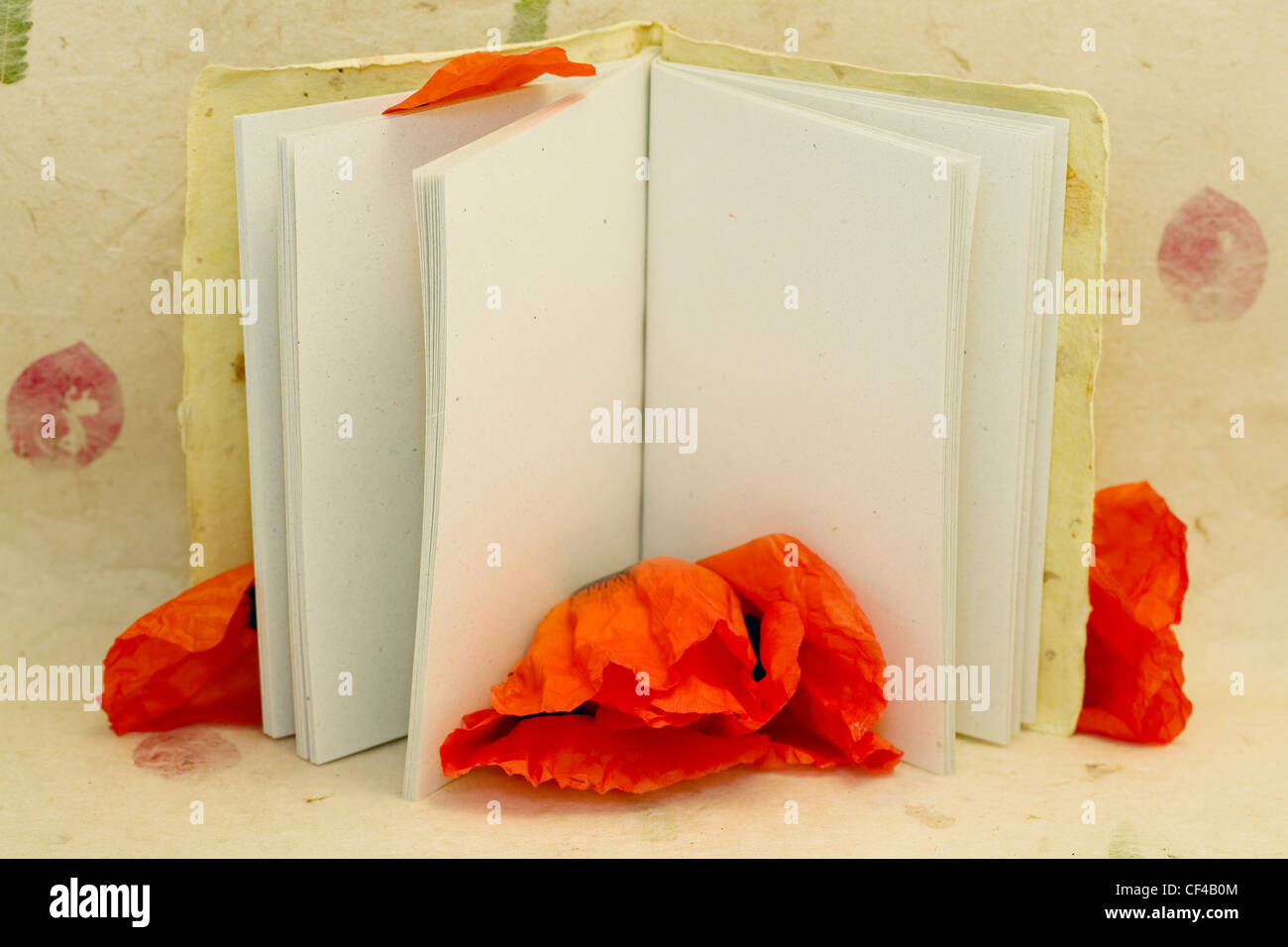 pad of paper with empty page and flower of poppy Stock Photo