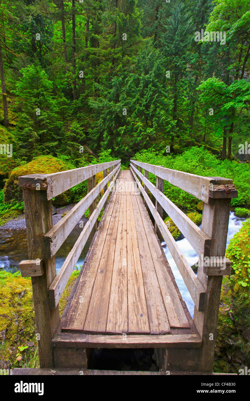 Boardwalk Along Tanner Creek In Columbia River Gorge National Scenic Area In The Pacific Northwest; Oregon USA Stock Photo