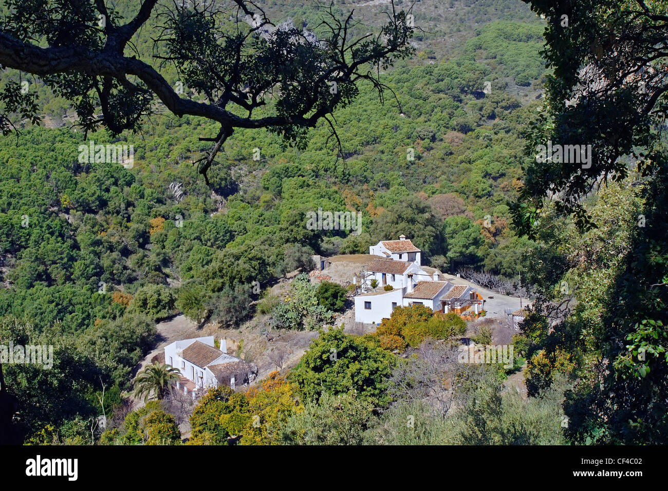Andalusian farmhouse, cortijo andaluz,Casares, village of andalusia, pueblo de andalucía Stock Photo
