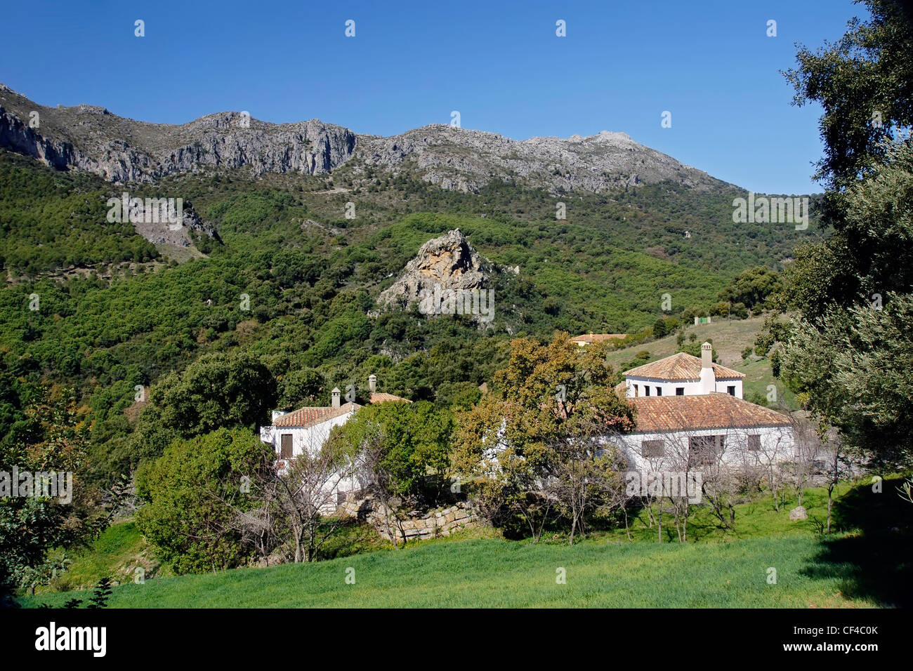 Andalusian farmhouse, cortijo andaluz Stock Photo
