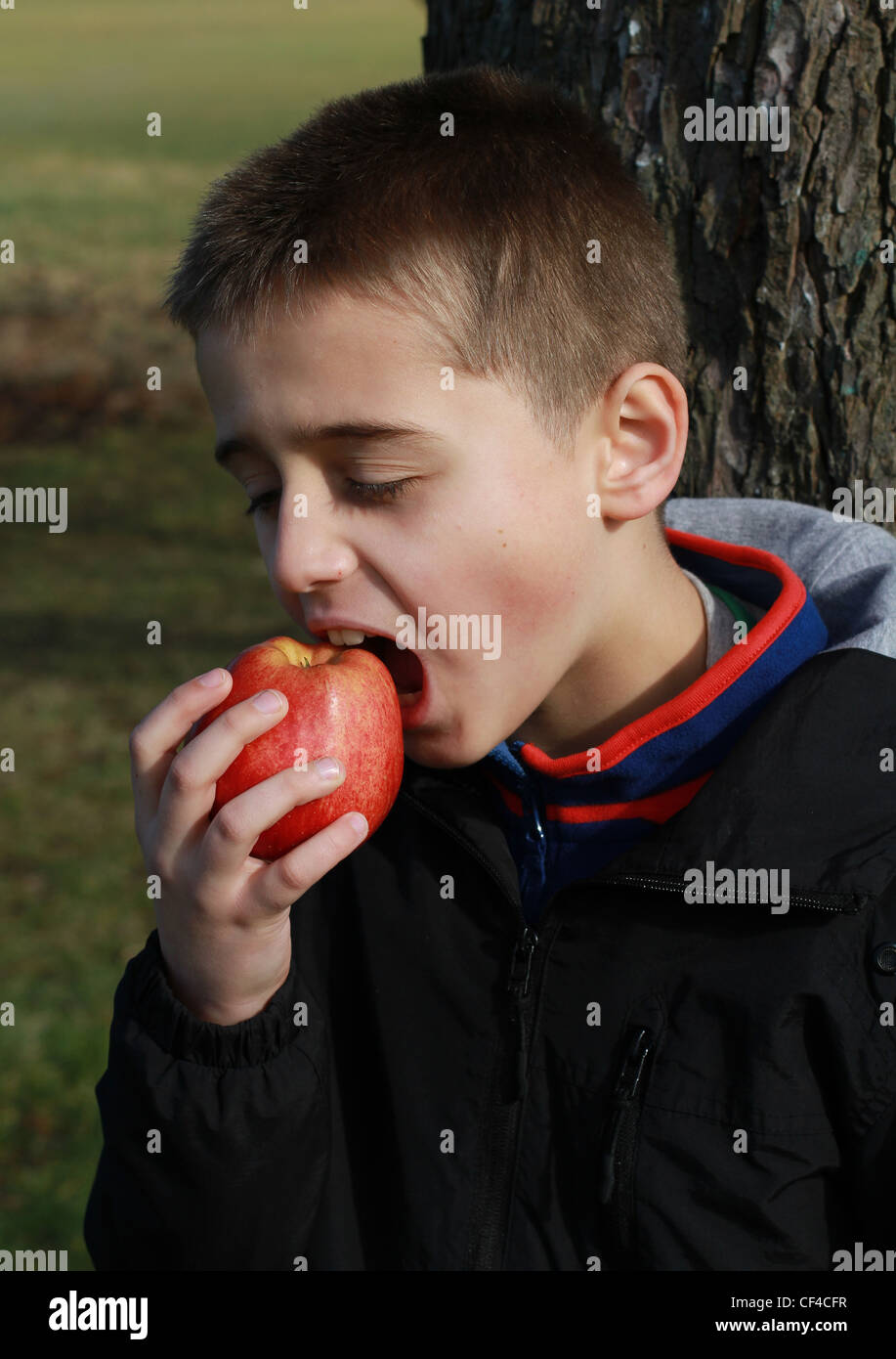 young boy eats a red apple in the park Stock Photo - Alamy