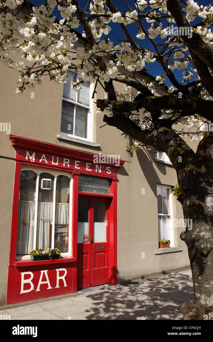 Cherry Blossom Tree Outside Irish Pub; Buttevant County Cork Ireland Stock Photo