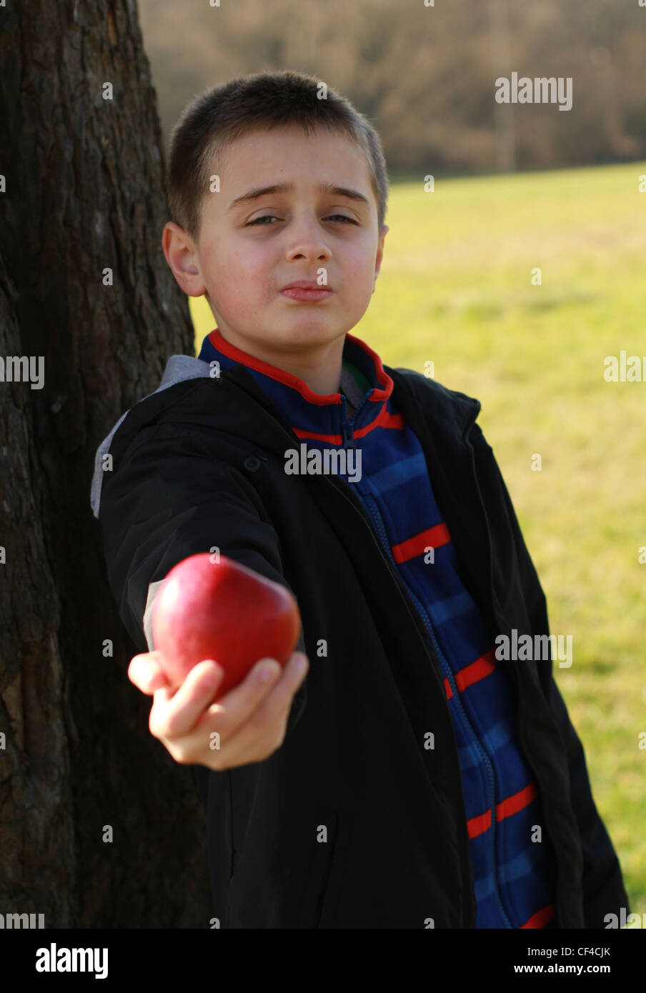 young boy eats a red apple in the park Stock Photo - Alamy