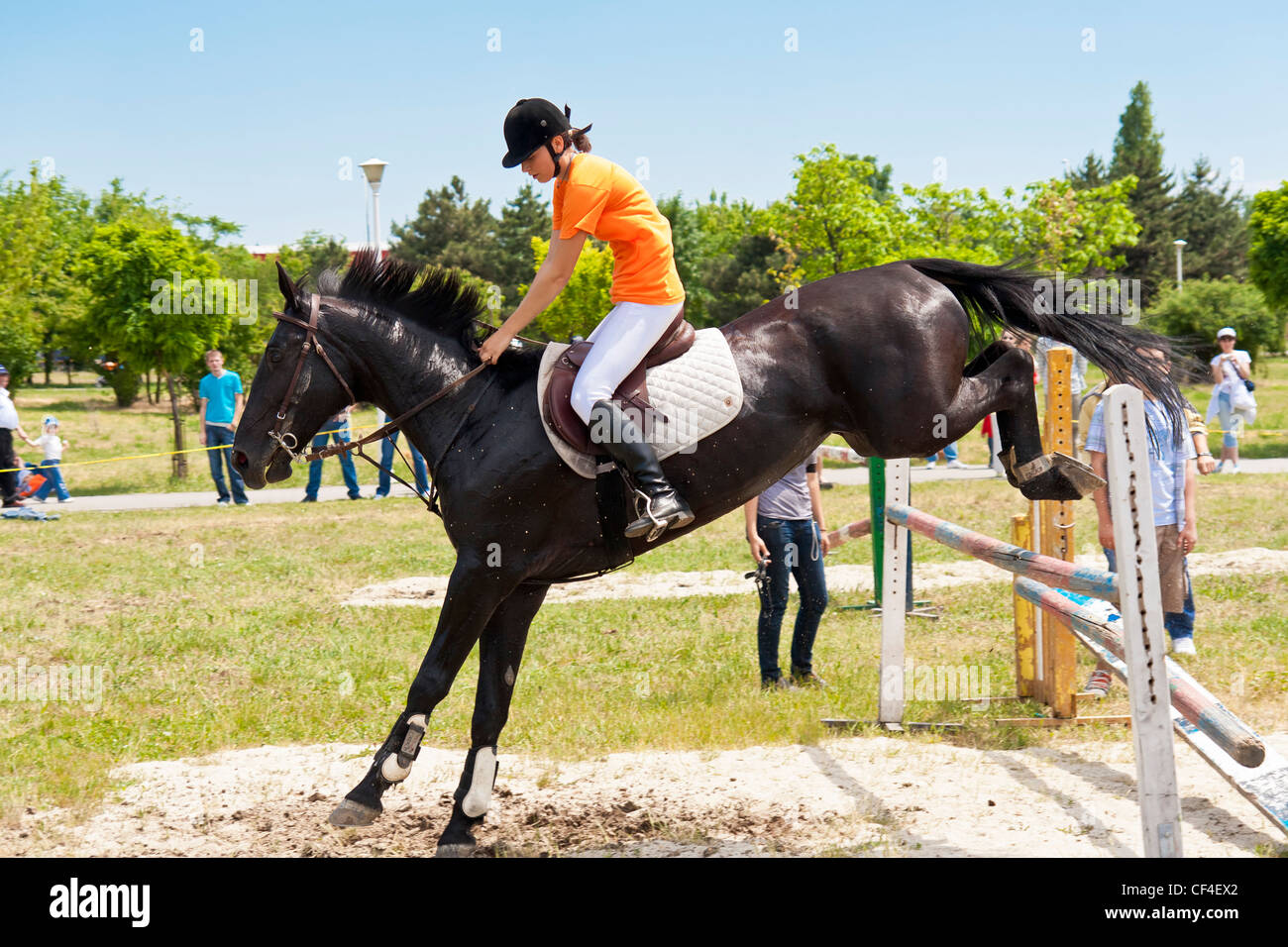 Black horse jumping a hurdle in a public jump show. Stock Photo