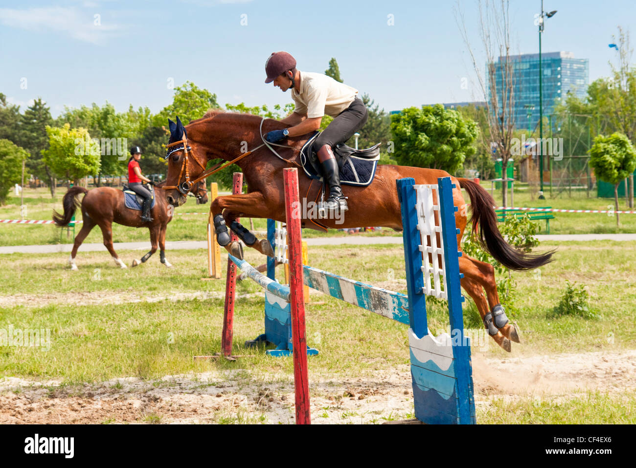 Horse Jumping Hurdle High Resolution Stock Photography and Images Alamy