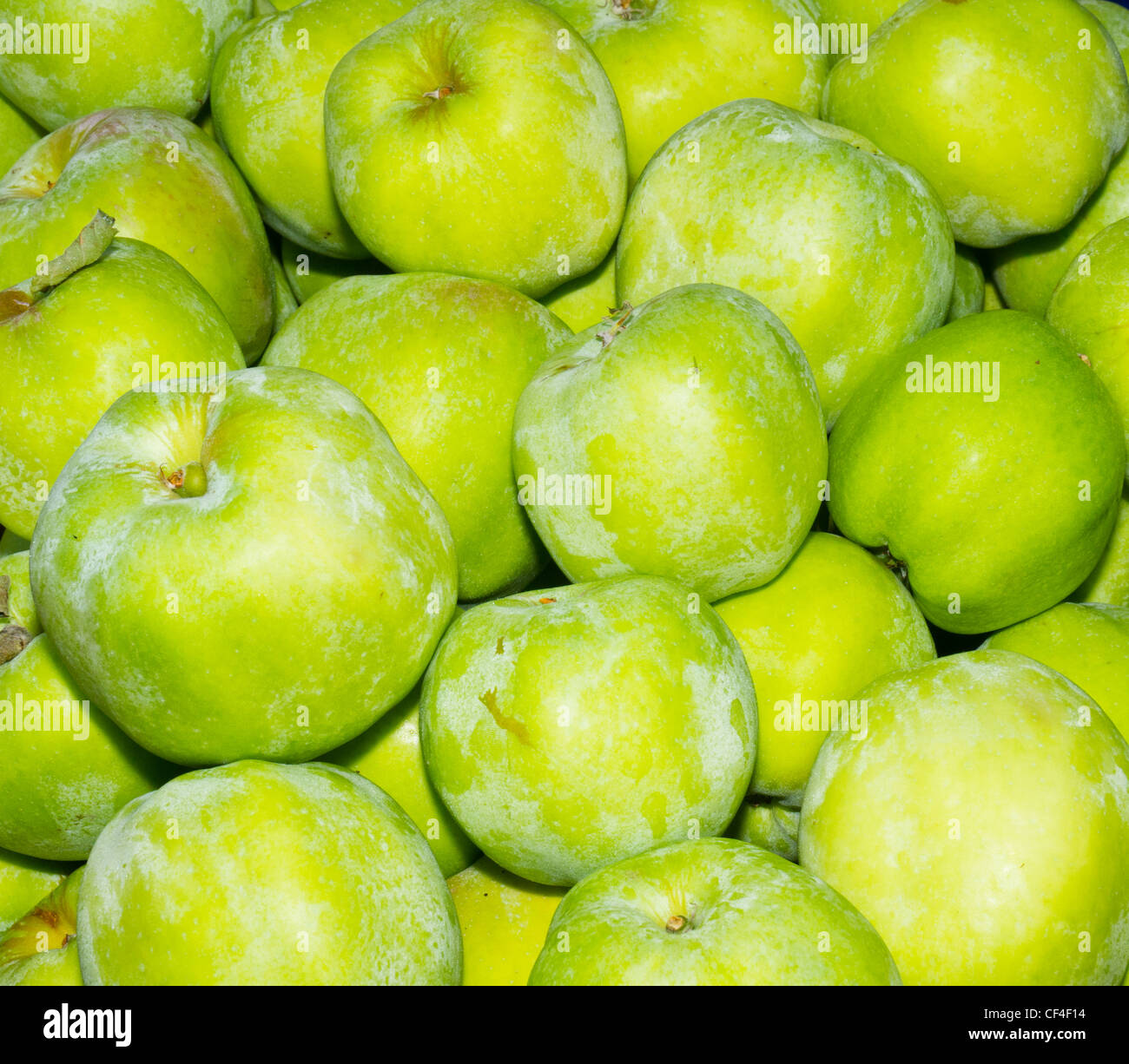 Fresh Gravenstein apples on display at the farmer's market Stock Photo