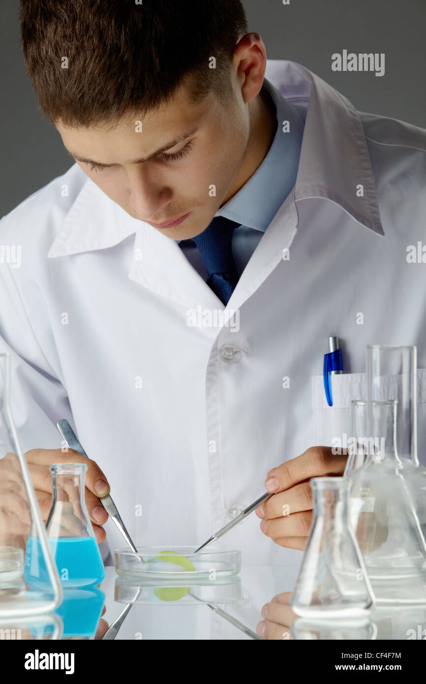 Male scientist studying a biological sample in a Petri dish Stock Photo ...