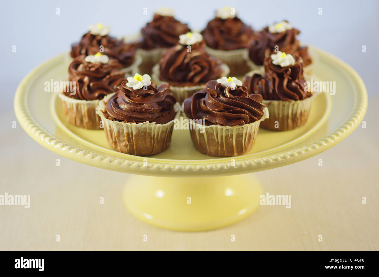 Chocolate cupcakes with chololate cream Stock Photo