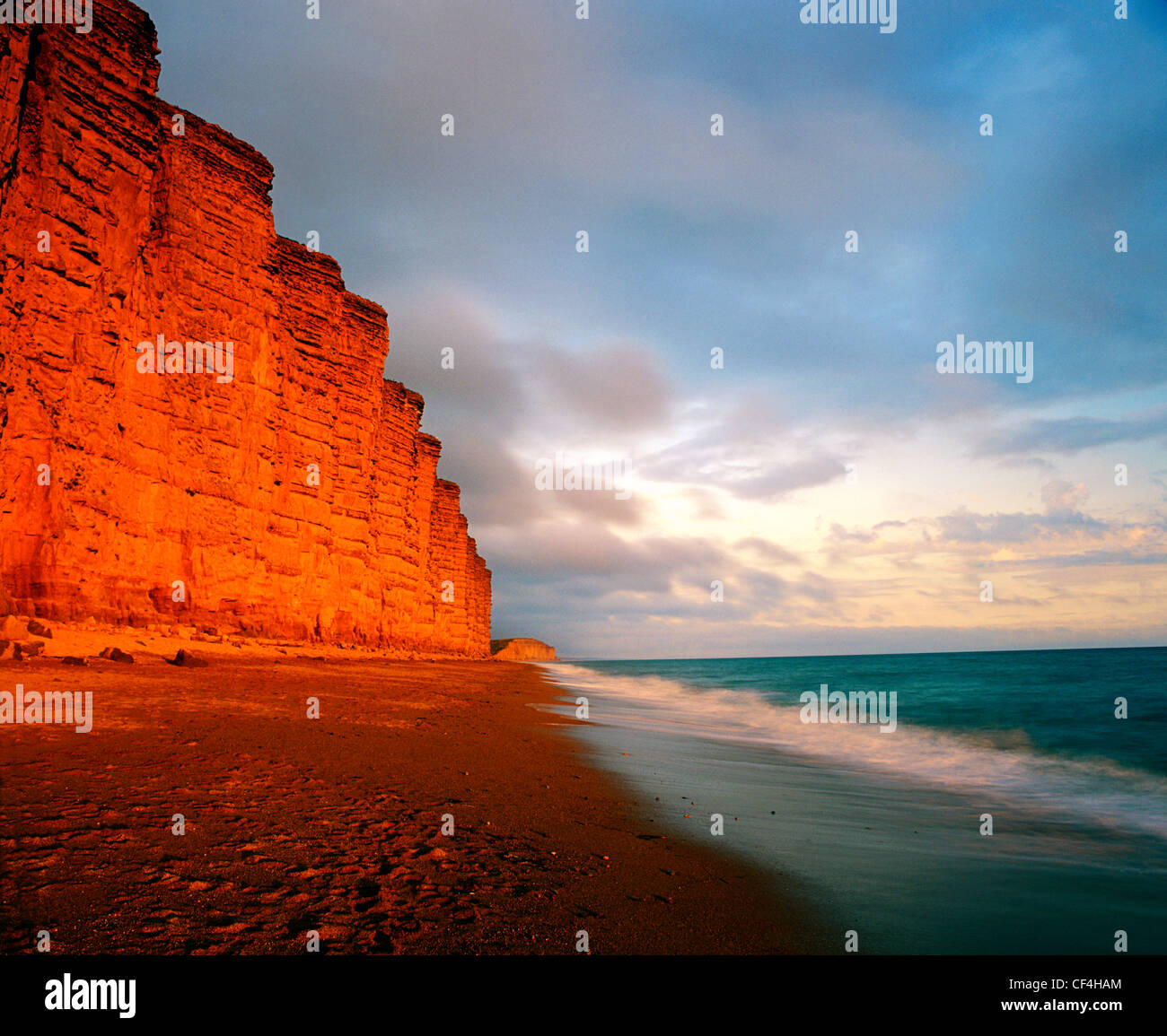 Evening light on the sandstone cliffs which dominate Lyme Bay. Stock Photo