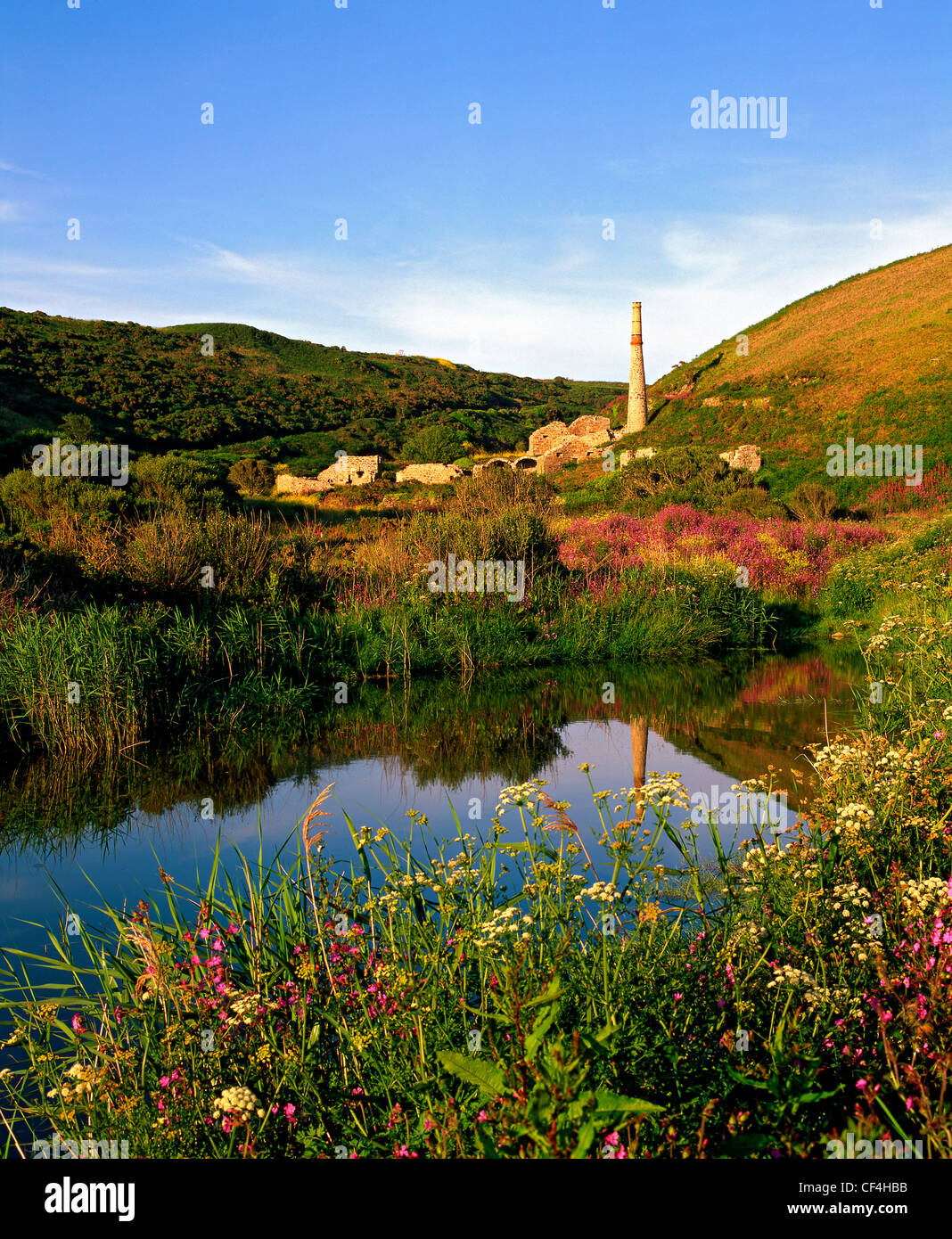 Disused tin mine and arsenic works, part of the Boswedden Mine Enterprise in St Just. The mine is situated in the wild and beaut Stock Photo