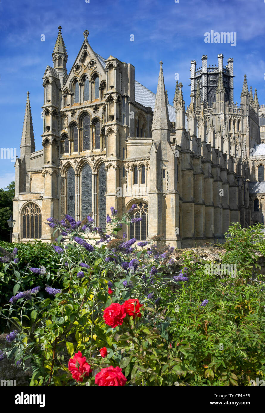 Flowers blooming in front of Ely Cathedral, known locally as 'the ship of the Fens', in Summer. Stock Photo