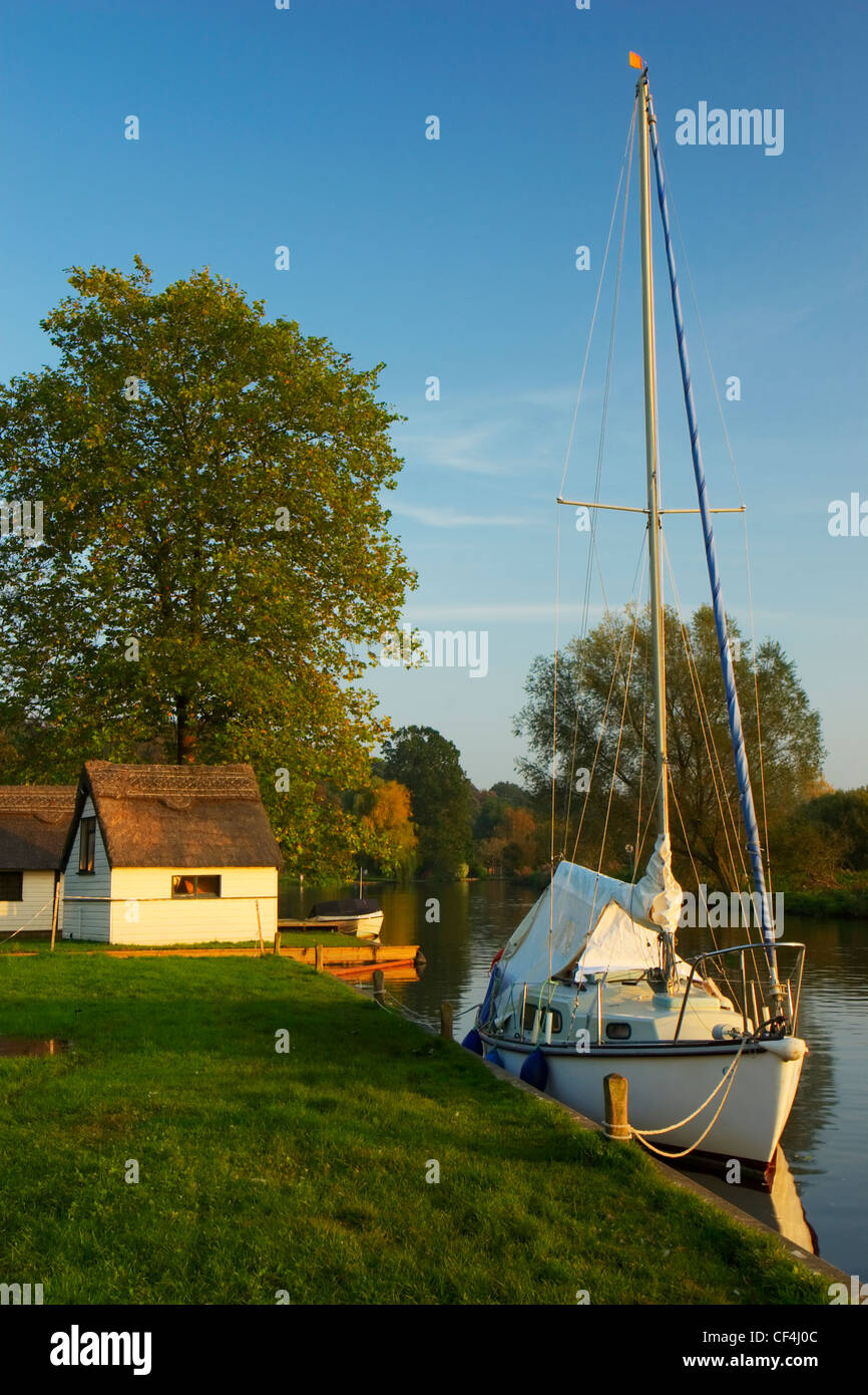 A small cruiser moored on the Norfolk Broads at Coltishall. Stock Photo