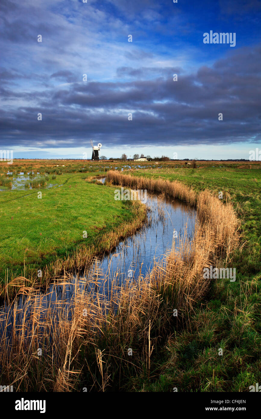 A small reed lined water channel leading to Muttons Mill on the Norfolk Broads. Stock Photo