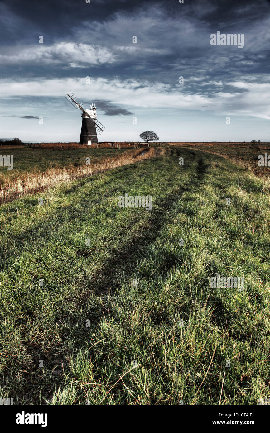 A grass track leading to Muttons Mill on the Halvergate Marshes in Norfolk. Stock Photo