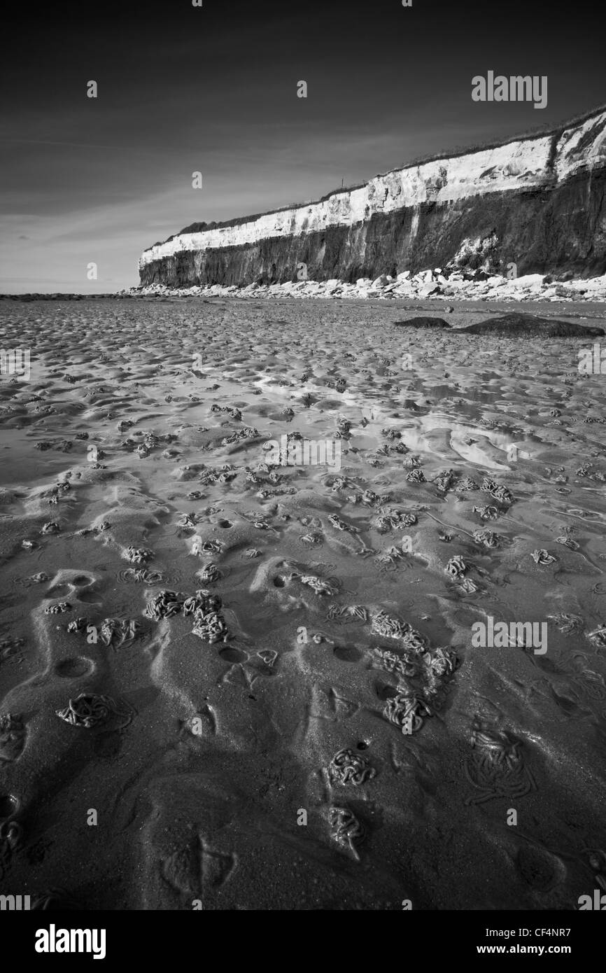 Worm casts on the beach at Hunstanton by its stratified, fossiliferous cliffs. Stock Photo