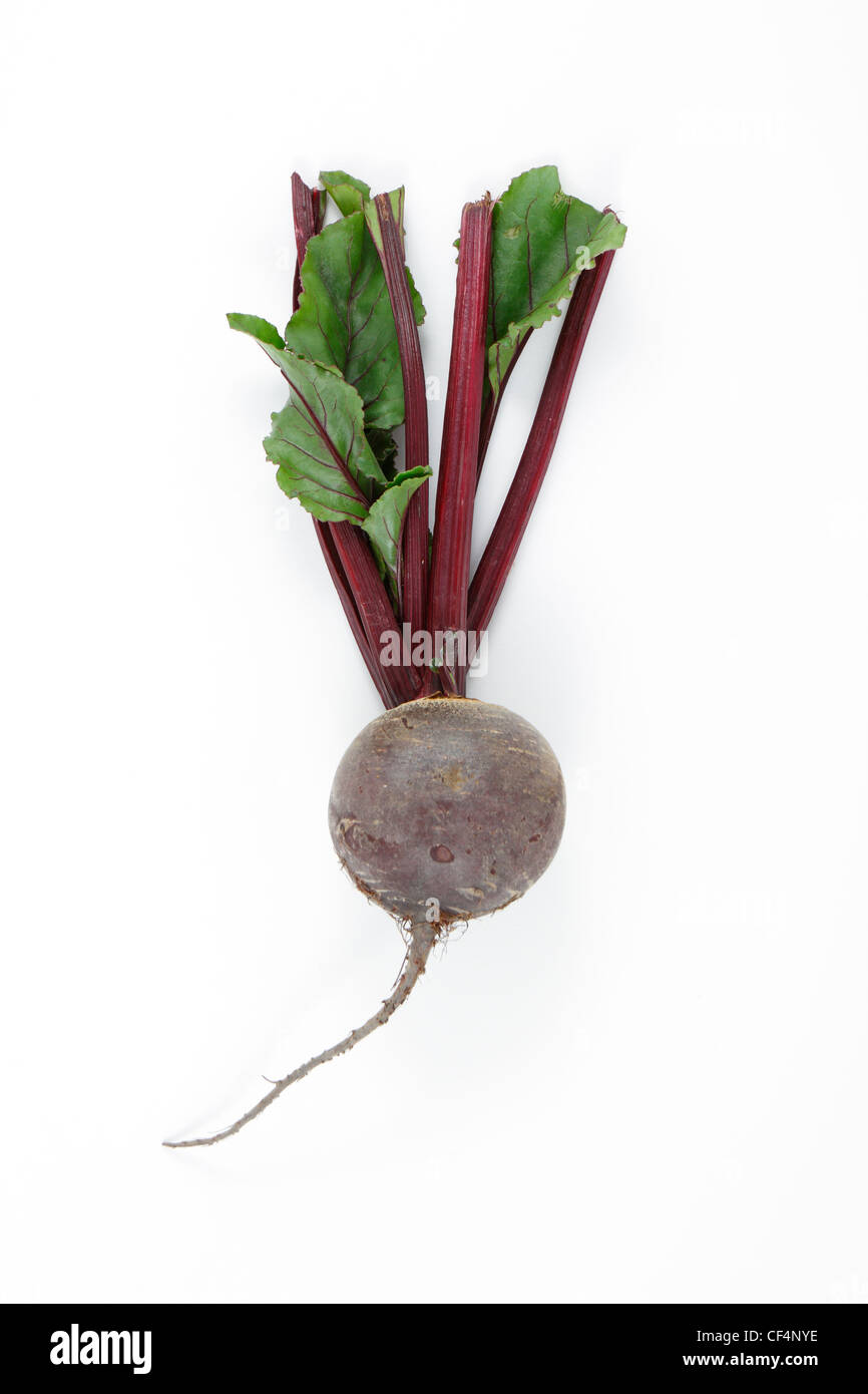 Whole beetroot with stems and leaves on a white background. Stock Photo