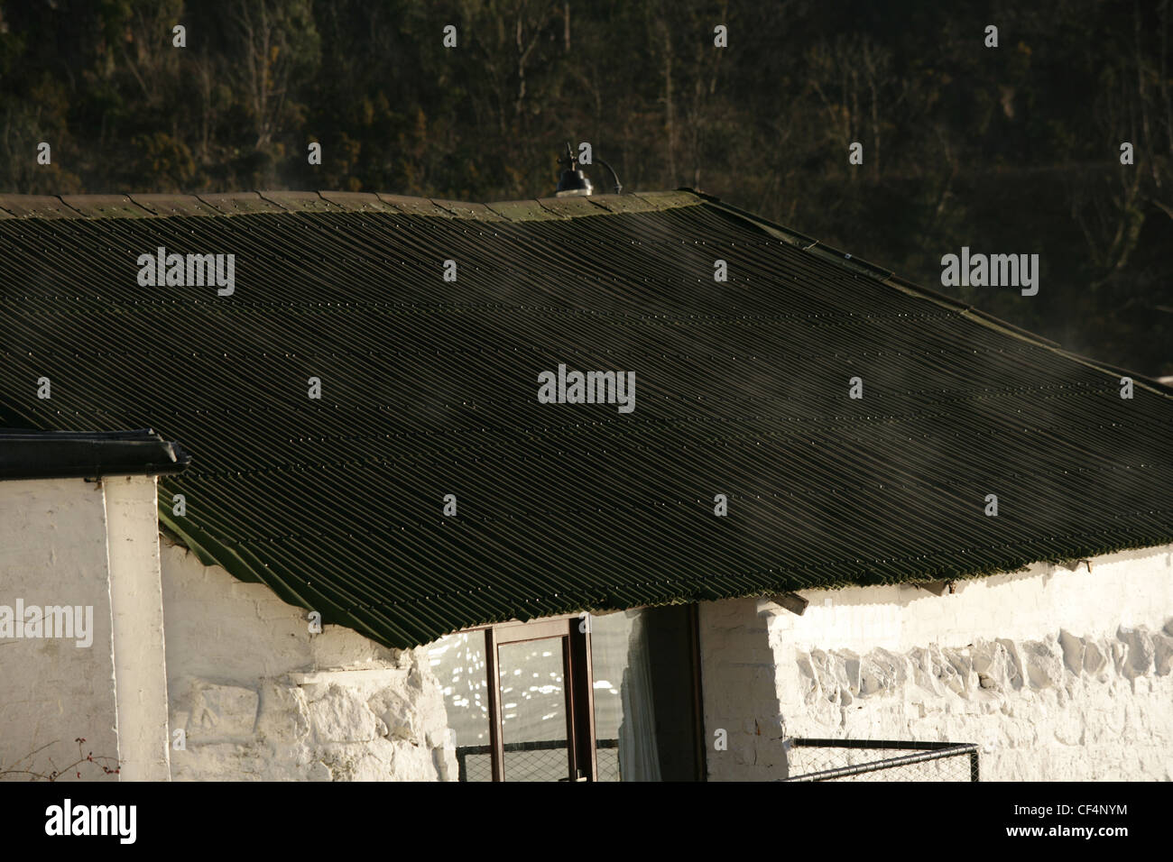A corrugated metal roof steaming in morning sun. Stock Photo