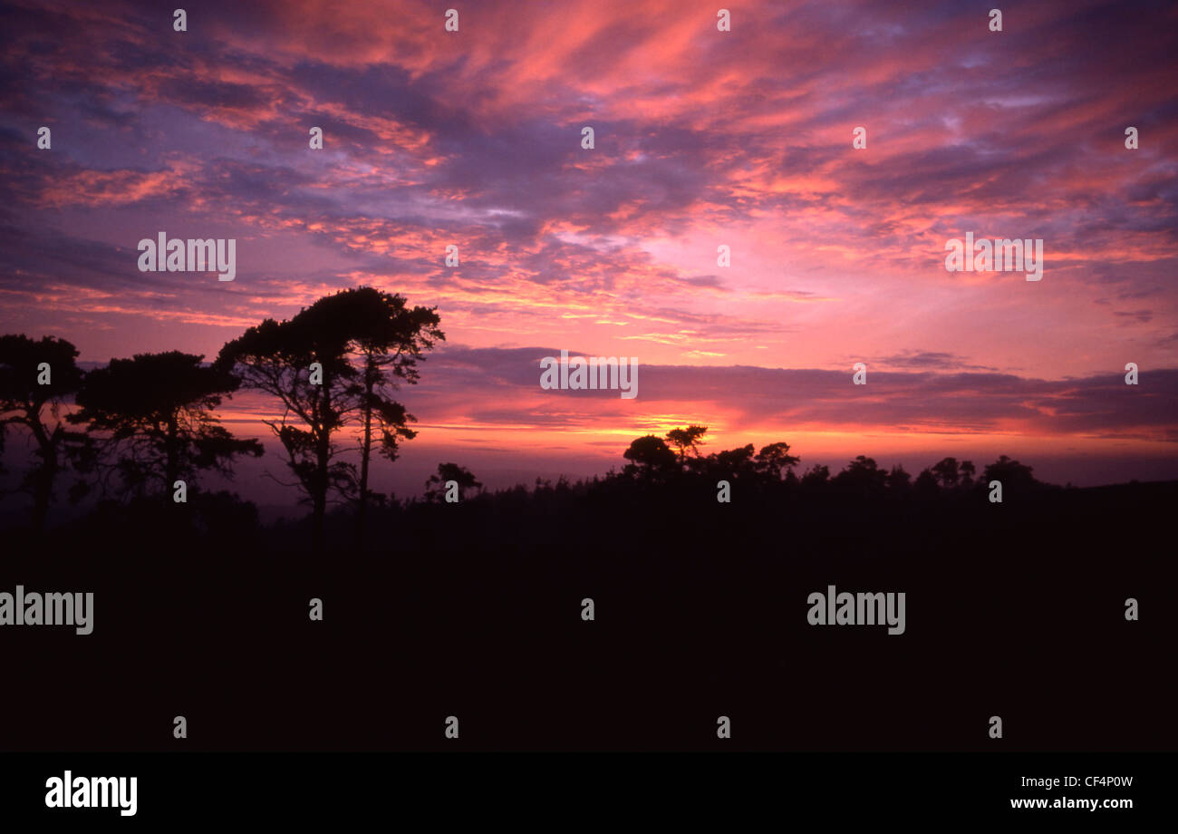 Sunset at Ashdown Forest. Stock Photo