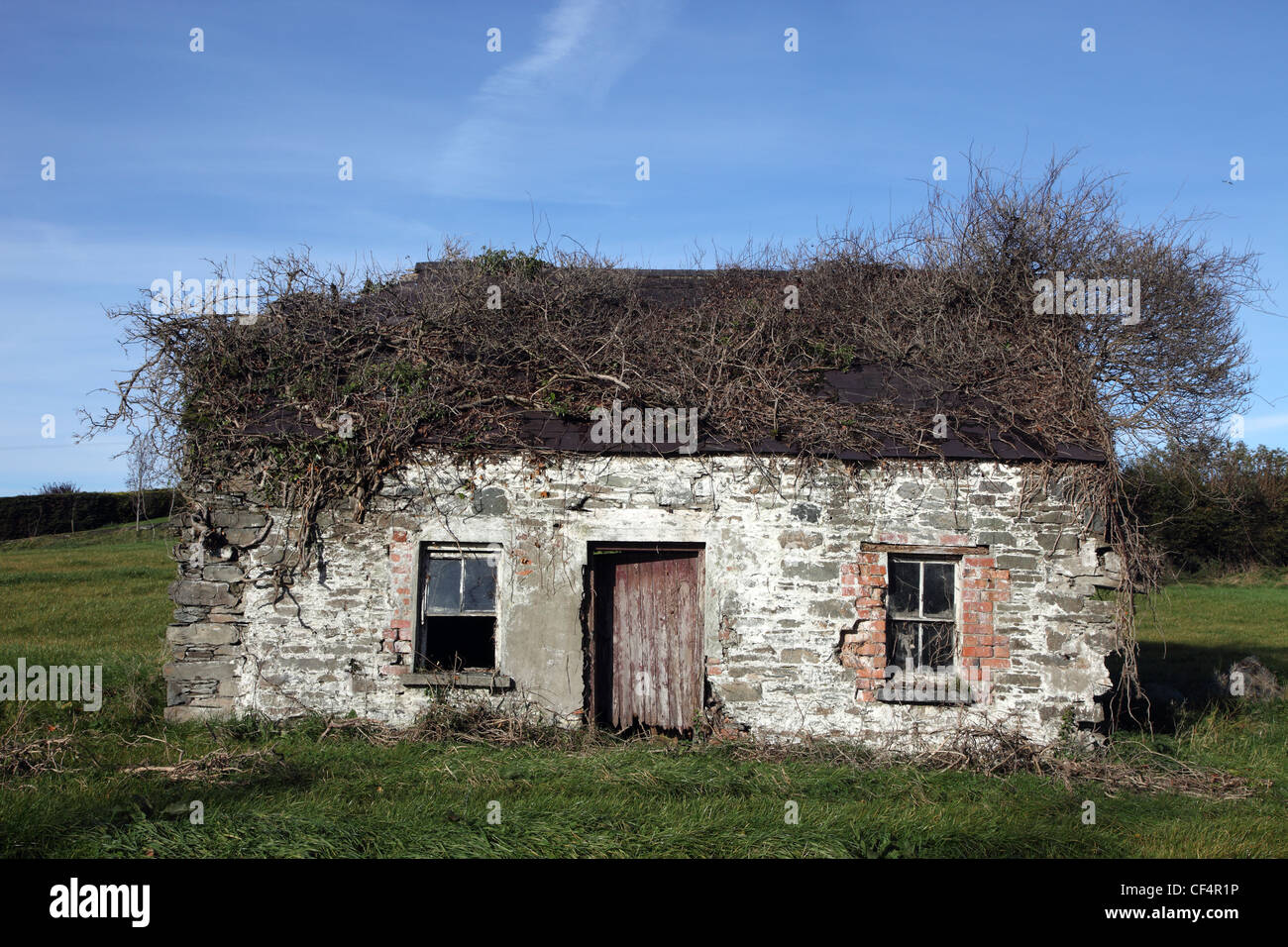 Derelict cottage, typical of homesteads abandoned during the Great Famine in the 19th Century. Stock Photo