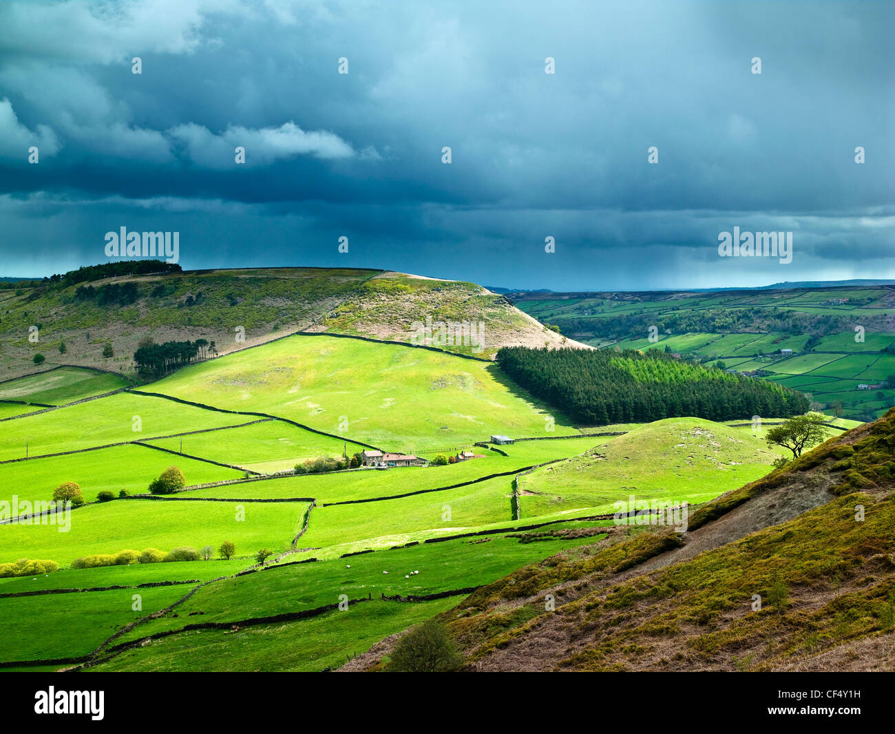 Lush green fields in the Spring at Little Fryup Dale in the North York Moors National Park. Stock Photo