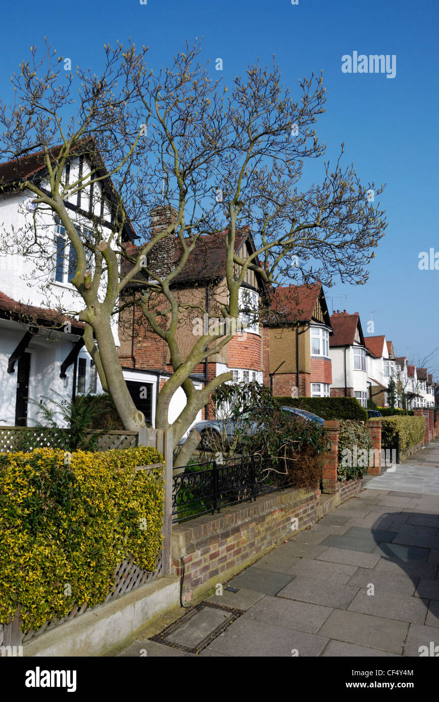 Residential housing in Fordington Road, North London. Stock Photo