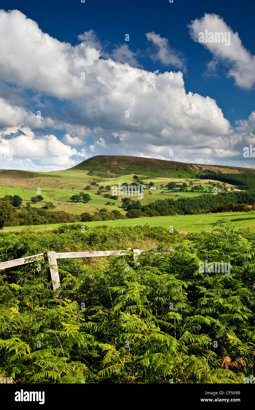 Easterside Hill in the North York Moors National Park. Stock Photo