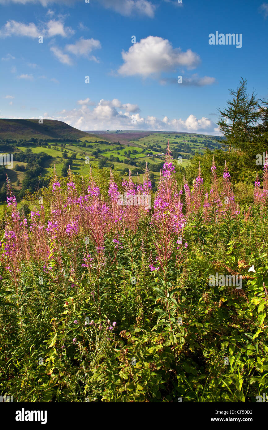 Easterside Hill in the North York Moors National Park. Stock Photo